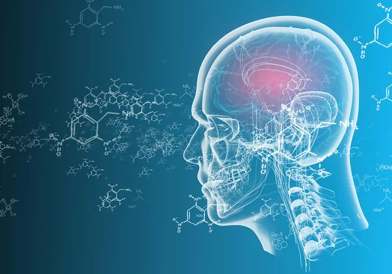 The Rise of BCI Enables Advances in&nbsp;Neuroscience